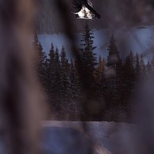 Sk&ouml;n dag i parken med pappa Jesper Molin och jag!. Foto: Johan St&aring;hlberg. &Aring;kare: Vet ni vem?.