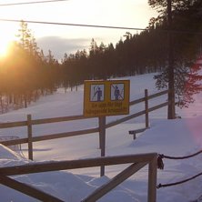 &Ouml;l.. Foto: Carl Sohlberg.