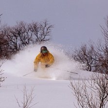 skogen vid svansj&ouml;n =). Foto: Ebba Kling-Odencrants. &Aring;kare: David Odencrants.