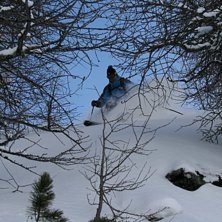 Nysn&ouml; i skogen p&aring; Sunnegga Paradise. Foto: Axel Reimbladh. &Aring;kare: Adam Jonsson.