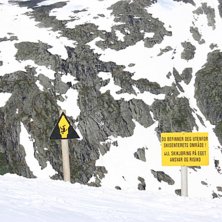 :D. Foto: Amadeus Staam.