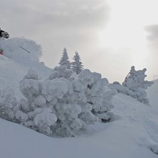 Foto: Felix Grunert. &Aring;kare: Patrik Hammarlund.