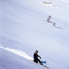 Meg selv p&aring; telemark p&aring; Rauland. Kjempe dag med . Foto: ?. &Aring;kare: &Oslash;yvind S&aelig;tra.