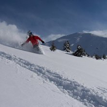 K&auml;nner lite p&aring; pudret. Foto: Per Ahlm. &Aring;kare: Martin Nor&eacute;n.