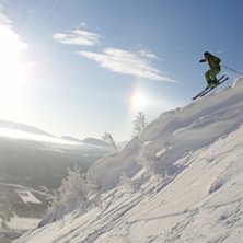 Gyrmt h&auml;rligt dropp i storgrova ! . Foto: Olov Nystr&ouml;m. &Aring;kare: Arvid Nystr&ouml;m.