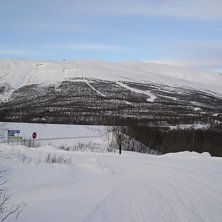Abisko premi&auml;ren. Gott om or&ouml;rd l&ouml;ssn&ouml;!. Foto: Daniel Albing.