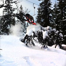 360 handrag &ouml;ver ett tr&auml;d. Foto: Emil Englund. &Aring;kare: Johan Almroth.