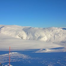 Kob&aring;set. Foto: Mamma.