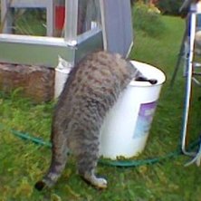 Foto: Mattias Jonasson. &Aring;kare: Siri.