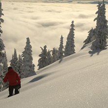 St&aring;r p&aring; toppen av ett &aring;k. Sn&ouml;n &auml;r totalt bott. Foto: Andreas &Aring;kerblom. &Aring;kare: Jon Weihard.