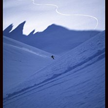 M&aring;nga fina sv&auml;ngar fr&aring;n topparna som syns som s. Foto: Martin Magnusson. &Aring;kare: Christian Hadler.