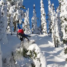 Skogs&aring;kning?. Foto: Andras Johansson. &Aring;kare: Mats Axelsson.