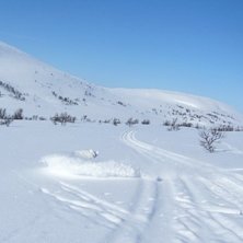 Skarp sv&auml;ng i puder.. Foto: Linus Krantz. &Aring;kare: Jens Jonsson.