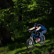 Matte chillar fett i solen... Gr&ouml;nt &auml;r sk&ouml;nt!. Foto: Henke Johansson. &Aring;kare: Matte.