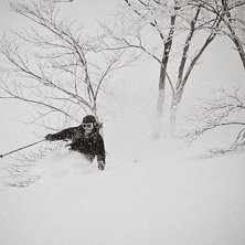 Mulet = inget bra ljus = svartvitt :). Foto: Alexander Thurban. &Aring;kare: David Clemensson.