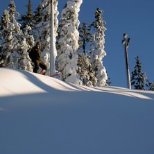 Foto: Maria Karlefeldt. &Aring;kare: Johan Karlefeldt.