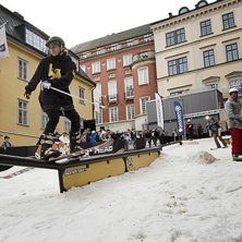 Winter Show i Kungstr&auml;dg&aring;rden 2014.. Foto: Hedda Berander.