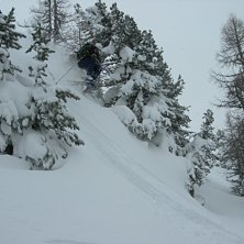 En fin dag i dr&ouml;mskogen. Foto: Lyngen Mattias. &Aring;kare: Magnus Kron.