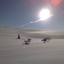 Foto: Alina Bergmark.