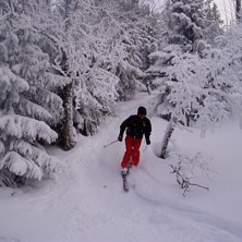 Ja &aring; brossan tog en tur ut i skogen i 3dm nyfalle. Foto: Elias Carlsson. &Aring;kare: Jacob Carlsson.