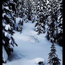 Bilden talar nog f&ouml;r sig sj&auml;lv.... Foto: Hugo Edhag. &Aring;kare: Christoffer Str&ouml;m.
