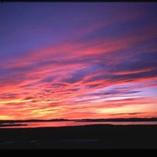 P&aring; Gesundabergets topp. Foto: Susanna Kans. &Aring;kare: ingen.