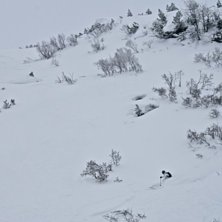 Foto: Felix Grunert. &Aring;kare: Patrik Hammarlund/Rikard Lindblad.