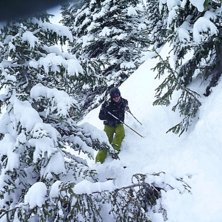 Brant, 50cm nysn&ouml;, gles skog....vad mer beh&ouml;ver .
