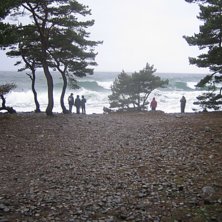 N&auml;r det inte g&aring;r att &aring;ka skidor i januari s&aring; k. Foto: Jakob Rejdemo. &Aring;kare: Unknown Tor&ouml; surfers.