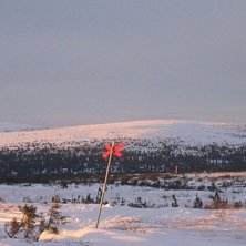 Foto: Mikael Nilsson. &Aring;kare: ingen.
