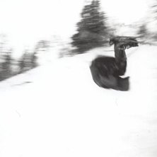 Foto: Martin S&ouml;&ouml;der.