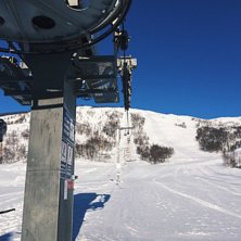 Blue bird
Sola skinner, gradestokken viser -7, sn�.