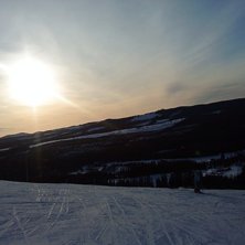 &Aring;ter igen en d&aring;lig bild med en mobilkamra.
Natu. Foto: Axel Hellstr&ouml;m.