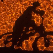 Foto: Therese Lundgren. &Aring;kare: Wade Murray.