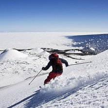 Foto: Fredrik Schenholm.
