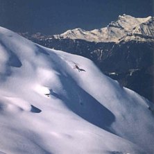 Tomas tr&auml;nar kortsv&auml;ng. . Foto: Andreas R&aring;dlund. &Aring;kare: Tomas &amp;quot;Mugabe&amp;quot; Haglund.
