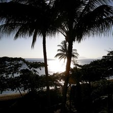 Carins Australien. Utsikt ut &ouml;ver Stilla Havet   . Foto: marcus wadsten. &Aring;kare: - - -.