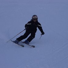 n&aring;gra sv&auml;ngar &auml;r aldrig fel 
. Foto: per. &Aring;kare: ja.