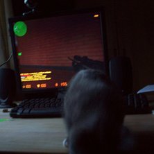 Cs katten. Foto: Jag. &Aring;kare: Nova.