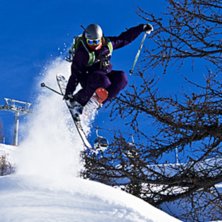 Fin sn&ouml; i sunnegaskogen. Foto: Adam Jonsson. &Aring;kare: Robin Ljungqwist.