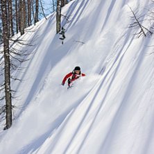 S&aring;g en kl&auml;nta i skogen p&aring; v&auml;g ner och tog en b. Foto: Magnus Olsson. &Aring;kare: Frasier.