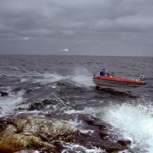 B&aring;ts&auml;songen tar v&auml;l inte slut f&ouml;r att det blir. Foto: The Mike. &Aring;kare: Johan S.