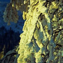 None. Foto: The Mike. &Aring;kare: Vemdalen.