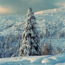 None. Foto: The Mike. &Aring;kare: Vemdalen.