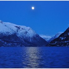 M&aring;nsken &ouml;ver Hardangerfjorden. Foto: Andreas Gustavsson.