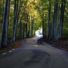 Foto: Daniel Elfving. &Aring;kare: Jim Petersson.