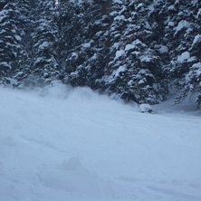 Vilken sn&ouml;! Whohoo. Foto: Roland Burboeck. &Aring;kare: David Carlstedt.