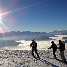 Foto: Gustaf H&ouml;&ouml;k. &Aring;kare: naturfoto.