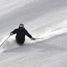 Brant! Lite halvskare men grymt sk&ouml;nt!. Foto: Peo Sj&ouml;berg. &Aring;kare: Olle Nordenberg.