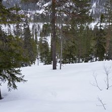 Tandådalen/Hundfjället Foto